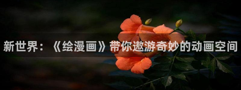 拷贝漫画第三方下载：新世界：《绘漫画》带你遨游奇妙的动画空间