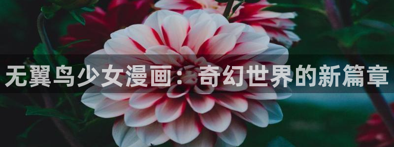 拷贝 漫画网址：无翼鸟少女漫画：奇幻世界的新篇章