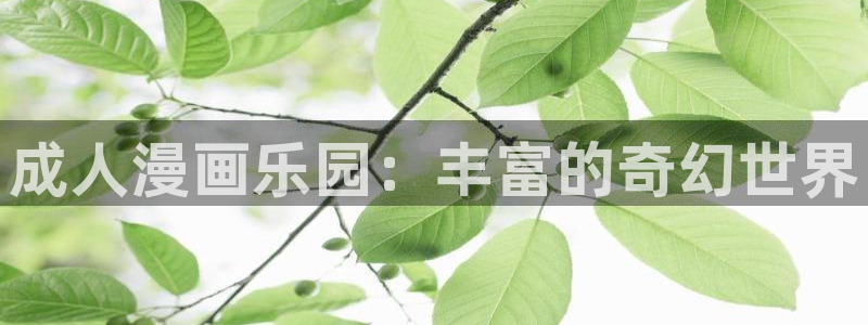 copy拷贝漫画网页版：成人漫画乐园：丰富的奇幻世界