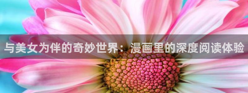 拷贝漫画类似的软件：与美女为伴的奇妙世界：漫画里的深度阅读体验